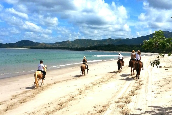 Horseback-Riding