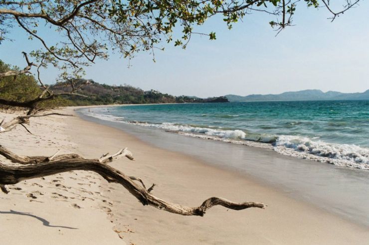 Savor-the-Beaches