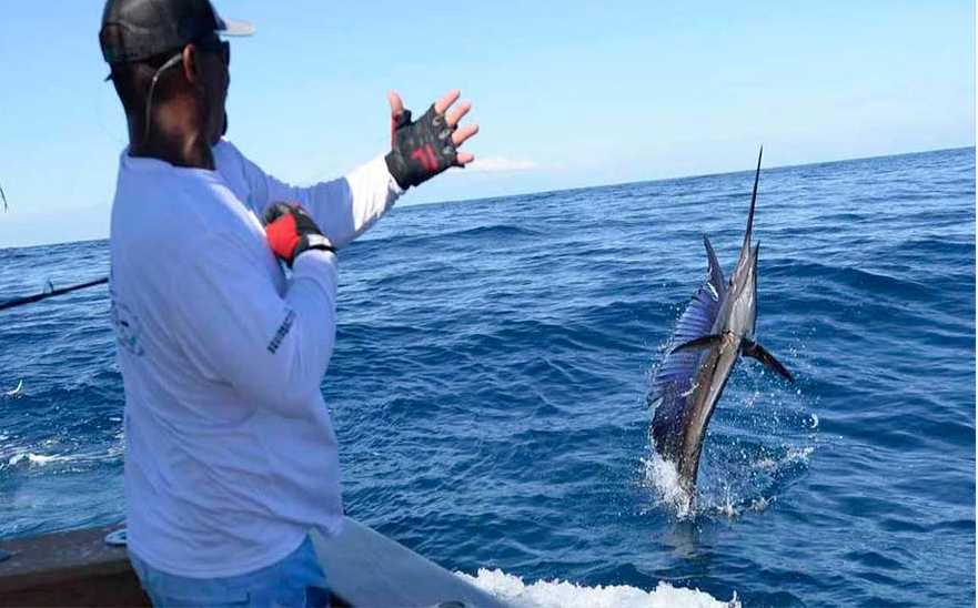 sport-fishing